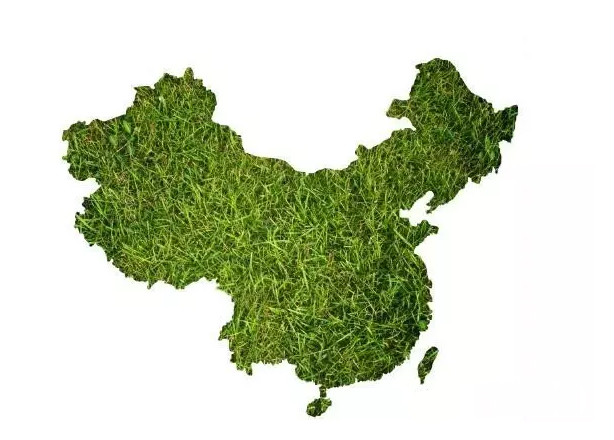 全国20省市霉菌毒素污染状况分析