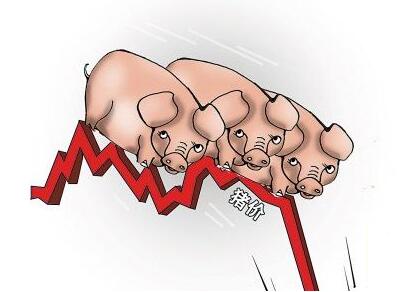 专家：猪价不存在大幅下跌的可能，但这3点需要注意！