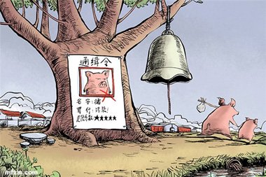 禁养拆猪场原来还有这门道！