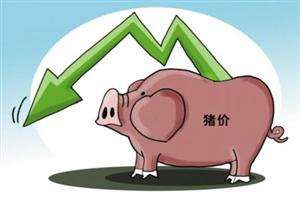农业部预计：明年猪价稳中略降 整体波动不大