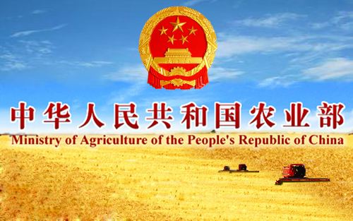 农业部关于推进兽医社会化服务发展的指导意见