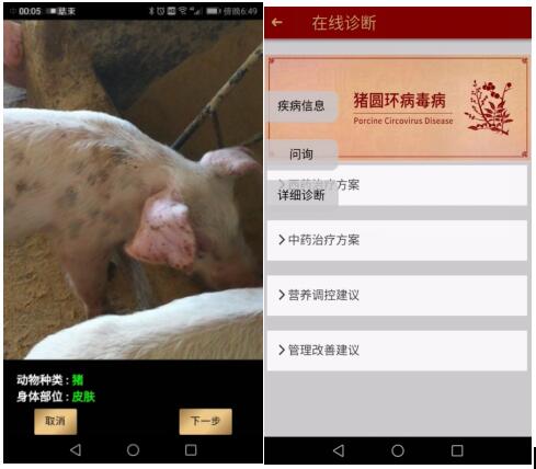 2019年智能养殖将进入高速发展期，挺好科技成为先行者
