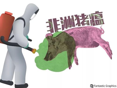 非瘟背景下更应提高猪群免疫力