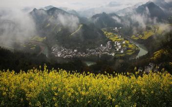 农业部2010第3号令：兽药经营质量管理规范