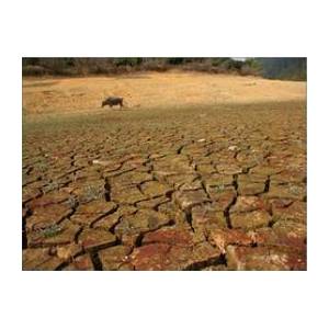 黄淮遭50年一遇秋旱 苏北千万亩农田受干旱威胁