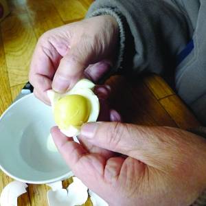 熟鸡蛋蛋黄弹出一米远 专家称鸡饲料含油多