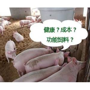 2011年饲料行业可能会突出的三个主旋律