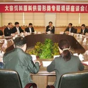 大宗饲料原料供需形势专题调研座谈会召开