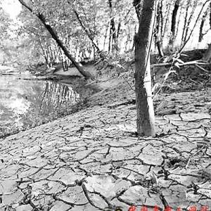 粮价飙升乙醇照做 美国“烧粮”遭批