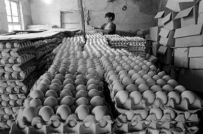 “二斤半饲料出一斤鸡蛋”炒大蒜的开始收鸡蛋了