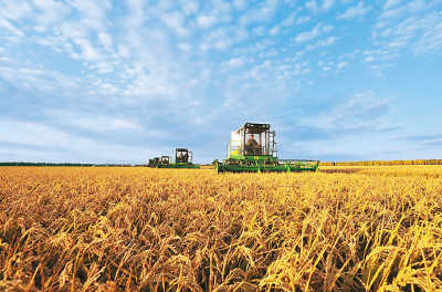 聂振邦：严防玉米成为第二个大豆